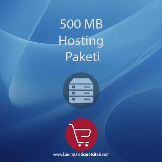 500 MB Hosting Paketi