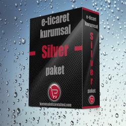 Kurumsal E-Ticaret (Opencart) Web Silver