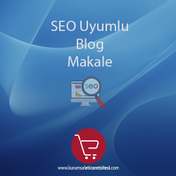 Seo Uyumlu Blog/Makale